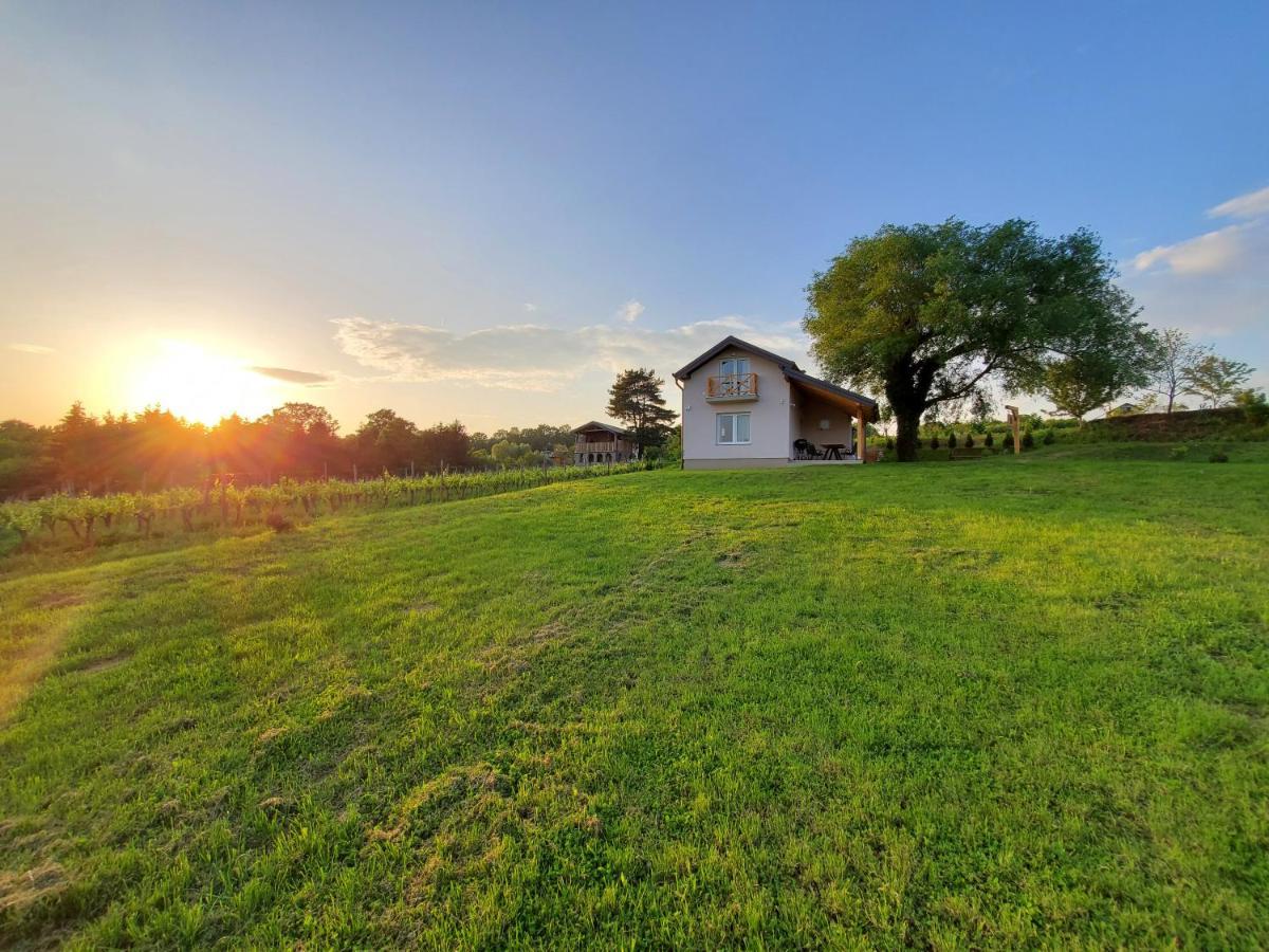 Holiday Home Vinovilla Gotó Kültér fotó