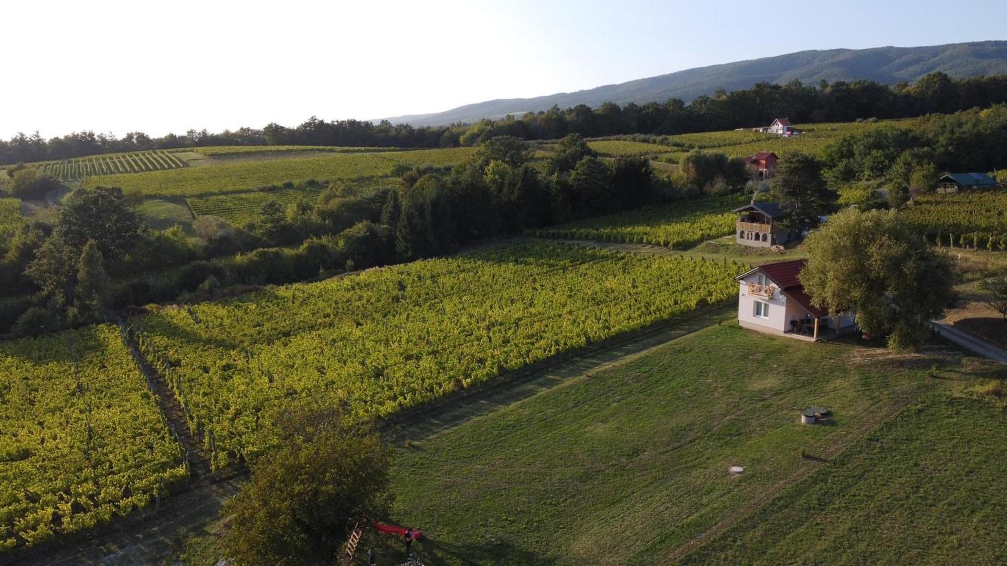 Holiday Home Vinovilla Gotó Kültér fotó